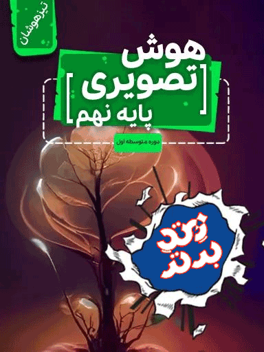 هوش تصویری نهم